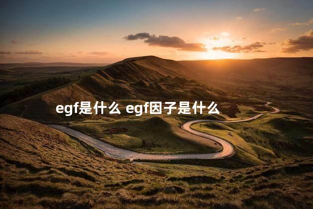 egf是什么 egf因子是什么